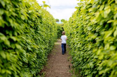 Çocuk, baharda oyun bahçesinde oynuyor, açık havada güzel havanın tadını çıkarıyor.