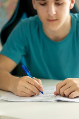 Okul çocuğu, ilkokul çocuğu, evde ortaokul sınavlarına hazırlanıyor, matematik ve dil öğreniyor.
