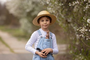Sevimli küçük sarışın çocuk, küçük çocuk, parkta küçük piliçlerle oynuyor, yavru civcivler ve çocuk baharda dışarıda.