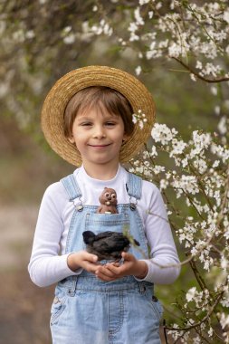 Sevimli küçük sarışın çocuk, küçük çocuk, parkta küçük piliçlerle oynuyor, yavru civcivler ve çocuk baharda dışarıda.