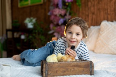 Sevimli küçük sarışın çocuk, küçük çocuk, evde küçük piliçlerle oynuyor, bebek piliçler ve çocuk birlikte.