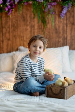Sevimli küçük sarışın çocuk, küçük çocuk, evde küçük piliçlerle oynuyor, bebek piliçler ve çocuk birlikte.