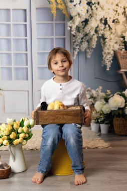 Sevimli küçük sarışın çocuk, küçük çocuk, evde küçük piliçlerle oynuyor, bebek piliçler ve çocuk birlikte.