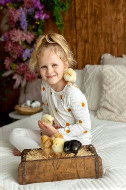 Sevimli küçük çocuklar, sarışın oğlan ve kız, evde küçük piliçlerle oynuyorlar, bebek piliçler ve çocuk