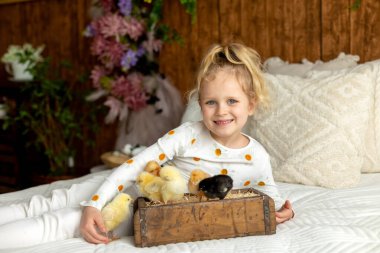 Sevimli küçük çocuklar, sarışın oğlan ve kız, evde küçük piliçlerle oynuyorlar, bebek piliçler ve çocuk