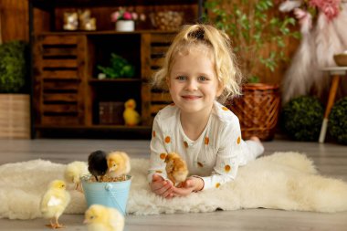 Sevimli küçük çocuklar, sarışın oğlan ve kız, evde küçük piliçlerle oynuyorlar, bebek piliçler ve çocuk