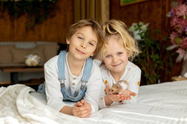 Sevimli küçük çocuklar, sarışın oğlan ve kız, evde küçük kobayla oynuyorlar, bebek hayvan ve çocuk.