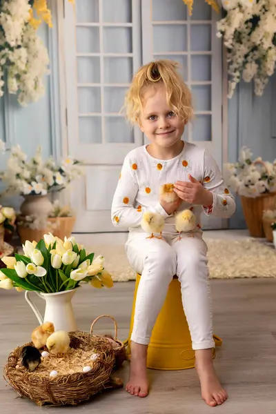 Sevimli küçük çocuklar, sarışın oğlan ve kız, evde küçük piliçlerle oynuyorlar, bebek piliçler ve çocuk