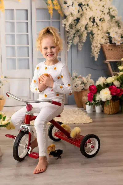 Sevimli küçük çocuklar, sarışın oğlan ve kız, evde küçük piliçlerle oynuyorlar, bebek piliçler ve çocuk