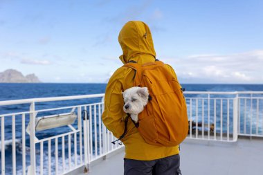 Çocuklu ve köpekli bir aile, Moskenesoya 'dan Varoya' ya feribotla gidiyor. Evcil bir köpek, sırt çantasında bir köpek, denizde çok rüzgarlı bir hava.