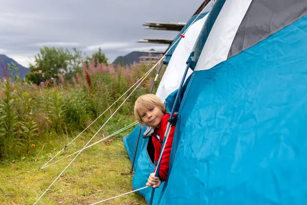 Üç çocuklu mutlu bir aile, yaz mevsiminde Norveç 'te vahşi bir kamp, Lofoten, Norveç' te fiyordun yanında öğle yemeği yiyen insanlar.