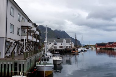 Çocuk, çocuk, yaz boyunca Henningsvaer 'ı ziyaret etmek aile ve evcil köpekle