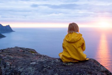 Çocuklu ve evcil hayvanlı aile, çocuklar ve yetişkinler Norveç 'in Senja adasında Sukkertoppen yolunda yürüyüş yapıyorlar.