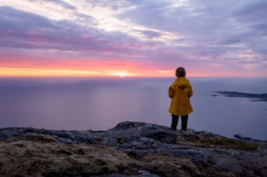 Çocuklu ve evcil hayvanlı aile, çocuklar ve yetişkinler Norveç 'in Senja adasında Sukkertoppen yolunda yürüyüş yapıyorlar.