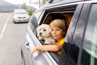Tatlı bir çocuk, pencereden dışarı bakıyor, Lofoten, Kuzey Norveç 'te güzel bir manzaraya bakıyor.