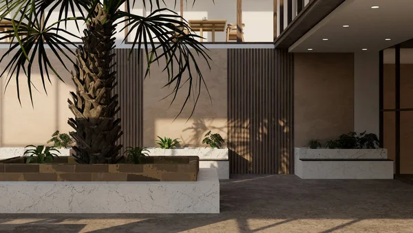 Moderno Diseño Exterior Del Jardín Del Edificio Contemporáneo Con Palmera — Foto de Stock