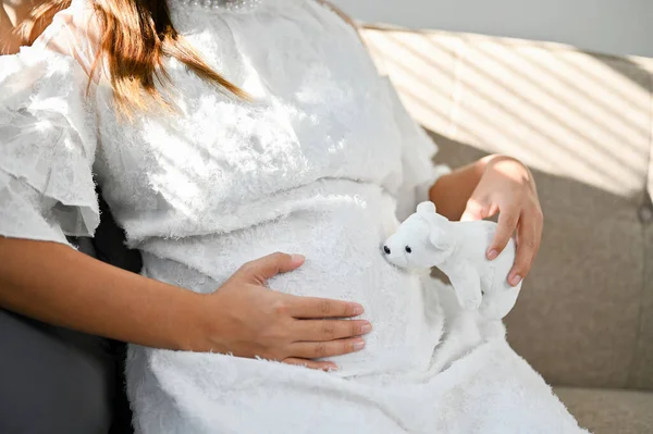 快乐的年轻亚洲孕妇摸着她的肚子 抱着一只毛茸茸的北极熊坐在沙发上 母性和可爱的家庭观念 切碎的子弹 — 图库照片