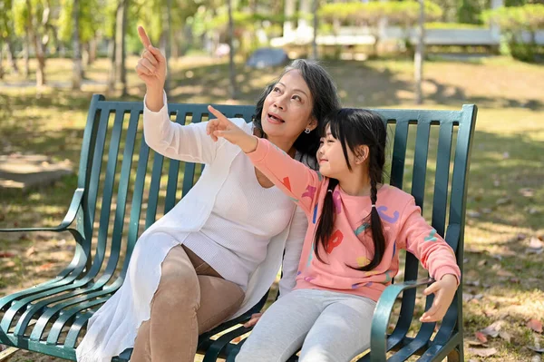 Happy and cheerful Asian grandmother and her granddaughter are having a good time in the park, sitting on a bench and watching the birds on the tree.