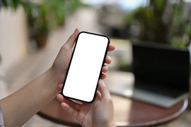 Close-up hand image, A female's hands holding a smartphone white screen mockup over blurred background.
