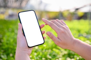 Close-up image of a woman using her smartphone in the greenhouse. smartphone white screen mockup. Modern technology and agricultural farm concept