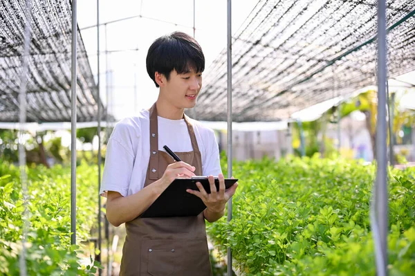 Professional young Asian male hydroponic farm owner or agricultural scientist is in the greenhouse with his clipboard paper, inspecting and recording the quality of salad plants. Farm business concept