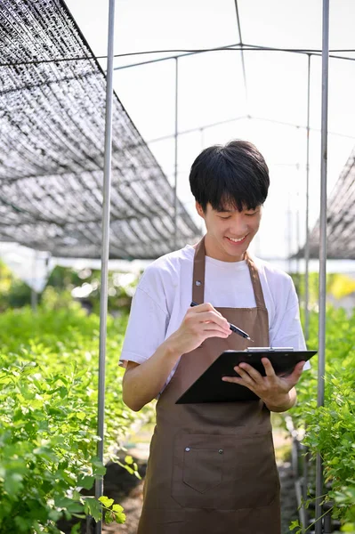 Happy young Asian male gardener or hydroponic farm owner examining the quality of his organic vegetables, recording in his clipboard paper, working in the greenhouse.