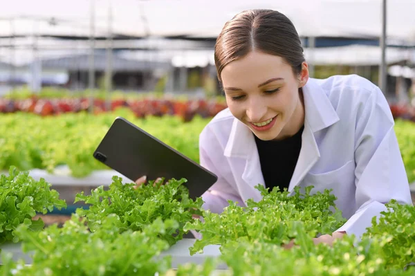 Happy professional Caucasian female agricultural scientist inspecting organic hydroponic seedlings in the greenhouse. Science and agricultural business concept