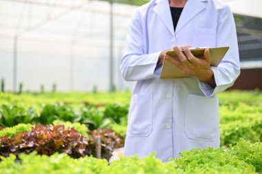 Cropped image of a male biologist or agricultural scientist in white gown uniform holding a clipboard paper, standing in the hydroponic greenhouse.