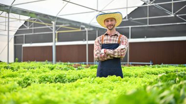 Successful and happy Caucasian male farmer or hydroponic farm owner with a straw hat stands with arms crossed in his greenhouse. farming business concept