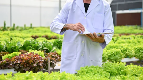 Cropped image of a male biologist or agricultural scientist in white gown uniform holding a clipboard paper, working in the hydroponic greenhouse. smart farming business concept