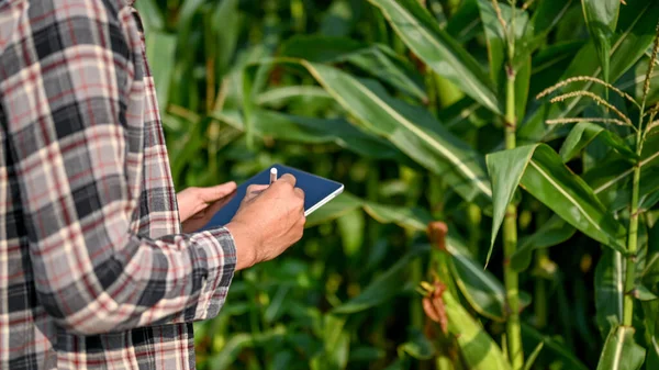 stock image Close up view of male farm worker using digital tablet to keep up the process in corn planting. smart farming concept