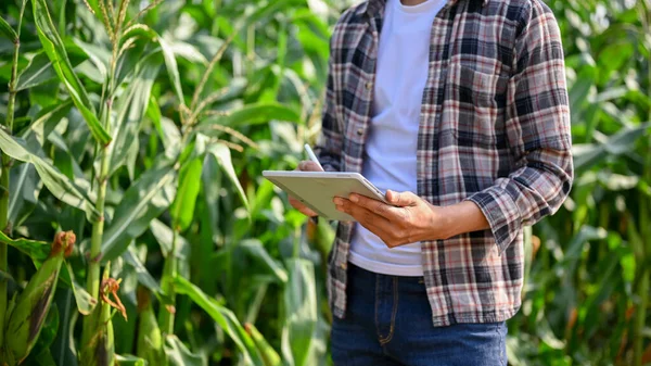 Közelkép Férfi Mezőgazdasági Dolgozó Segítségével Digitális Tabletta Hogy Fenntartsák Folyamatot — Stock Fotó