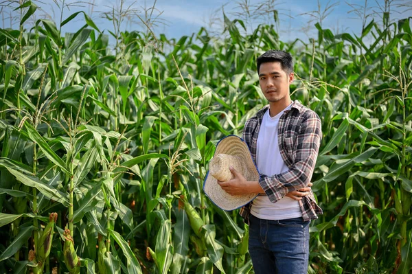Portrét Mladého Pracovitého Farmáře Pracujícího Kukuřičném Poli Zemědělský Podnikatelský Koncept — Stock fotografie