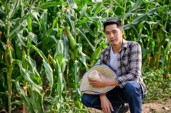 Portret Młodego Ciężko Pracującego Farmera Pracującego Polu Kukurydzy Działalność Rolnicza — Zdjęcie stockowe