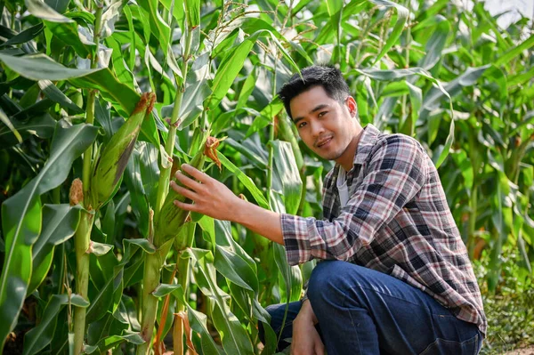 Портрет Молодого Працьовитого Фермера Який Працює Своїй Кукурудзяній Галузі Сільське — стокове фото