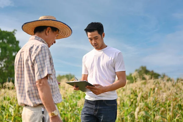 プロフェッショナル千年のアジアの男性トウモロコシ畑の所有者は トウモロコシの収穫品質を検査し 古い農家と話をし 作業しています 農業事業 — ストック写真