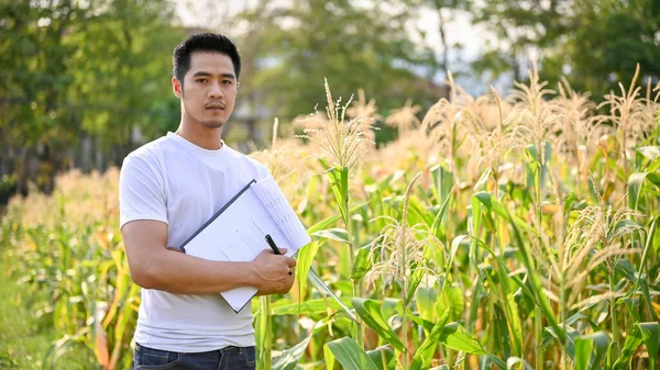 Przystojny Profesjonalny Tysiącletni Azjatycki Rolnik Lub Gospodarz Sprawdzający Jakość Kukurydzy — Zdjęcie stockowe