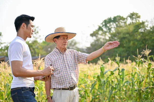 Azjatycki Rolnik Słomkowym Kapeluszu Spacerujący Rozmawiający Dostawcą Polu Kukurydzy Podczas — Zdjęcie stockowe