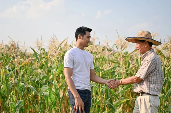 Asijský Podnikatel Nebo Dodavatel Potřásá Rukou Starším Farmářem Kukuřičném Poli — Stock fotografie
