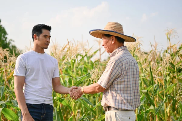 Azjatycki Biznesmen Lub Dostawca Ściskający Dłoń Starszemu Rolnikowi Polu Kukurydzy — Zdjęcie stockowe
