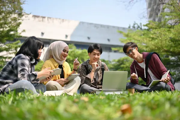 一群快乐聪明的来自亚洲各地的年轻大学生正在校园公园里就他们的校园项目进行讨论和集思广益 — 图库照片