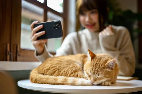 Simpatico Gatto Arancione Sta Dormendo Tavolo Mentre Suo Capo Sta — Foto Stock
