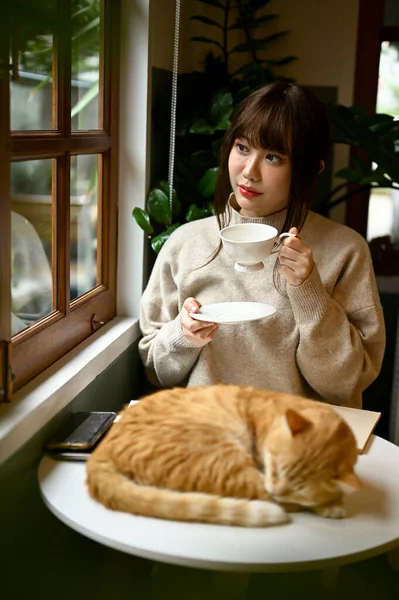 stock image Portrait of a charming young Asian woman in a cozy sweater sipping tea at a table by the window in her cozy living room with her orange cat.