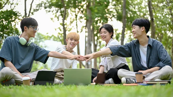 Gruppo Giovani Studenti Universitari Asiatici Felici Diversi Seduti Sull Erba — Foto Stock