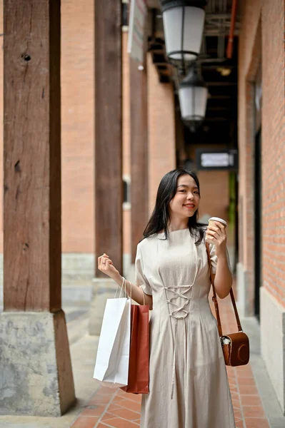 Portrait Beautiful Asian Woman Beautiful Minimal Dress Carrying Her Shopping — Stock Fotó