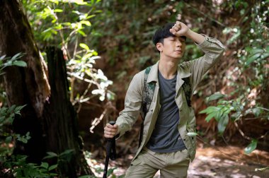 Sırt çantası ve yürüyüş teçhizatı ile yorgun Asyalı bir erkek yürüyüşçü ormanda yürüyor, doğayı keşfediyor ve hafta sonları yürüyüşe çıkıyor..