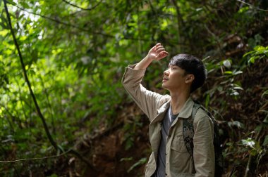 Aktif ve kararlı bir Asyalı erkek yürüyüşçü ormanda tek başına keşif ve yürüyüş yapıyor. açık hava etkinliği kavramı
