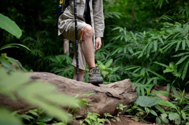 Yürüyüş teçhizatı ile aktif bir erkek yürüyüşçünün kırpılmış görüntüsü ormanda yürüyor, doğayı keşfediyor, vahşi doğada tek başına yürüyüş yapıyor. Yaz macerası, eğlence, hobi