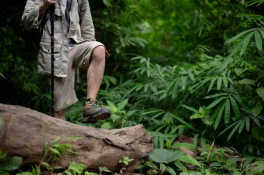 Yürüyüş teçhizatıyla gezen aktif bir erkek yürüyüşçünün kırpılmış görüntüsü ormanda yürüyor, doğayı keşfediyor, vahşi doğada tek başına yürüyüş yapıyor..