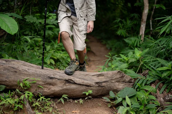 stock image Cropped image of an active male hiker with a backpack and trekking gear walking along the forrest path, hiking alone on the weekend.